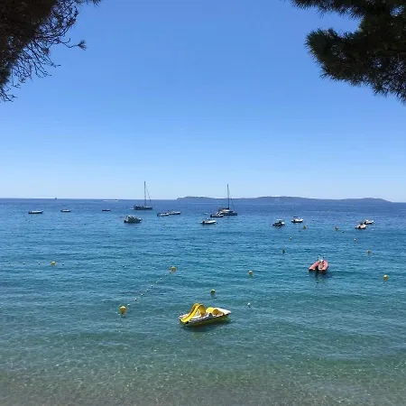 L'arbousier