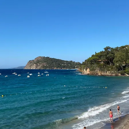 Bed and Breakfast L'arbousier