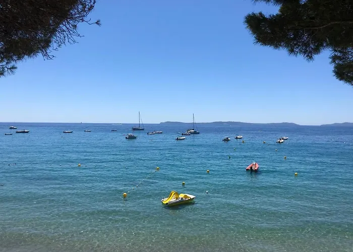 L'arbousier